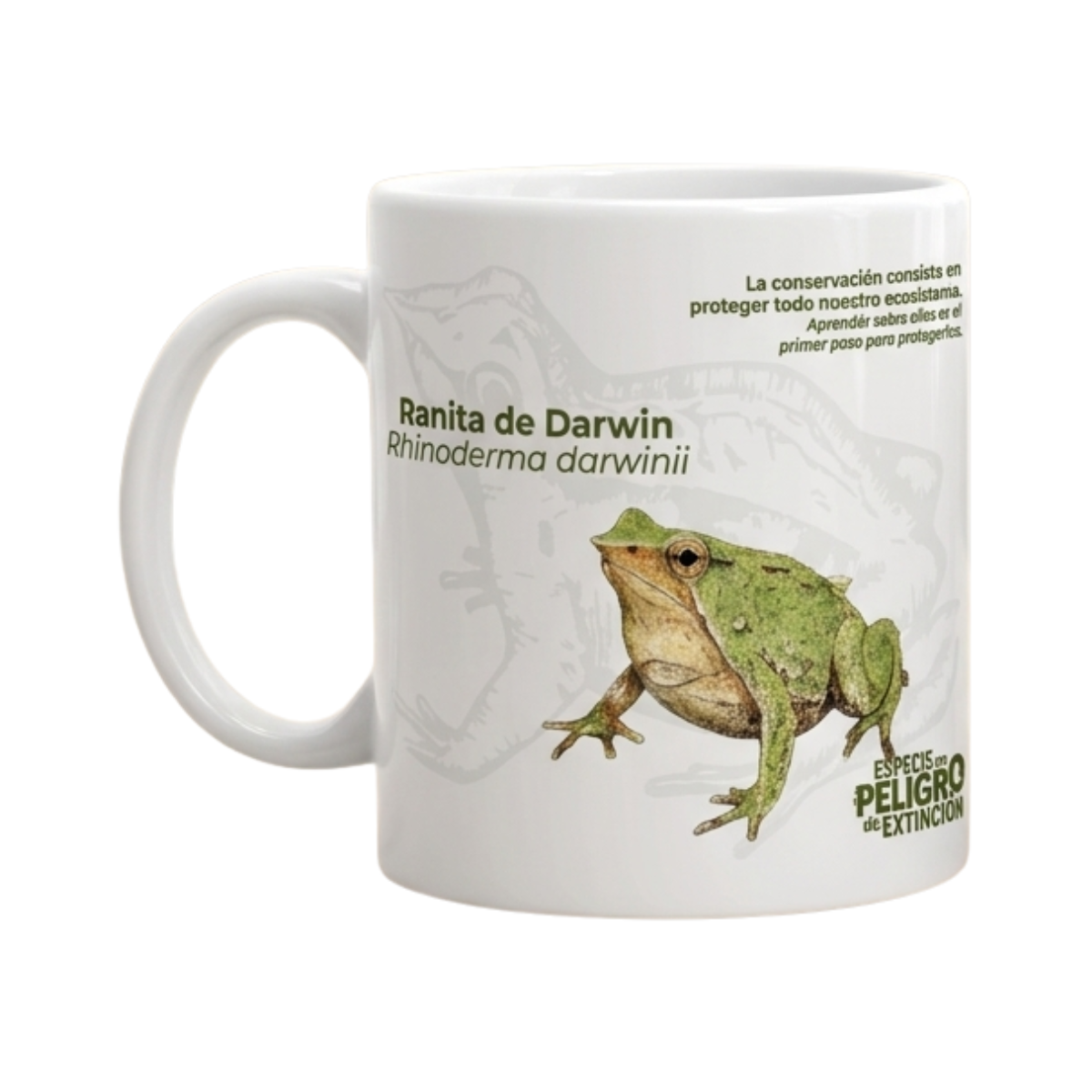 Taza Ranita de Darwin Especies en Peligro Buinzoo