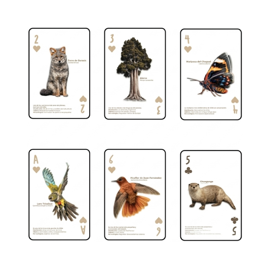 Juego De Cartas Naipes Poker Especies En Peligro Buinzoo