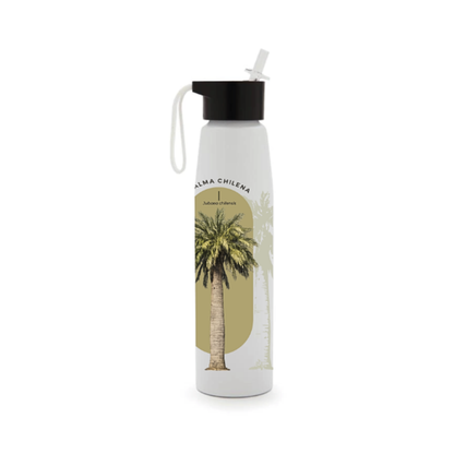 Botella Aluminio Palma Chilena Especies En Peligro Buinzoo