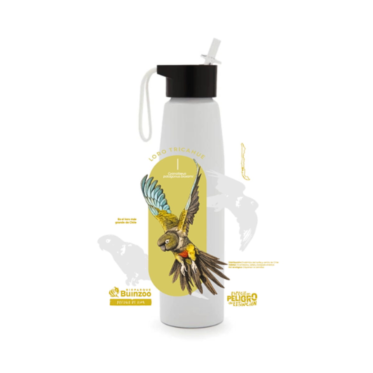 Botella Aluminio Loro Tricahue Especies En Peligro Buinzoo